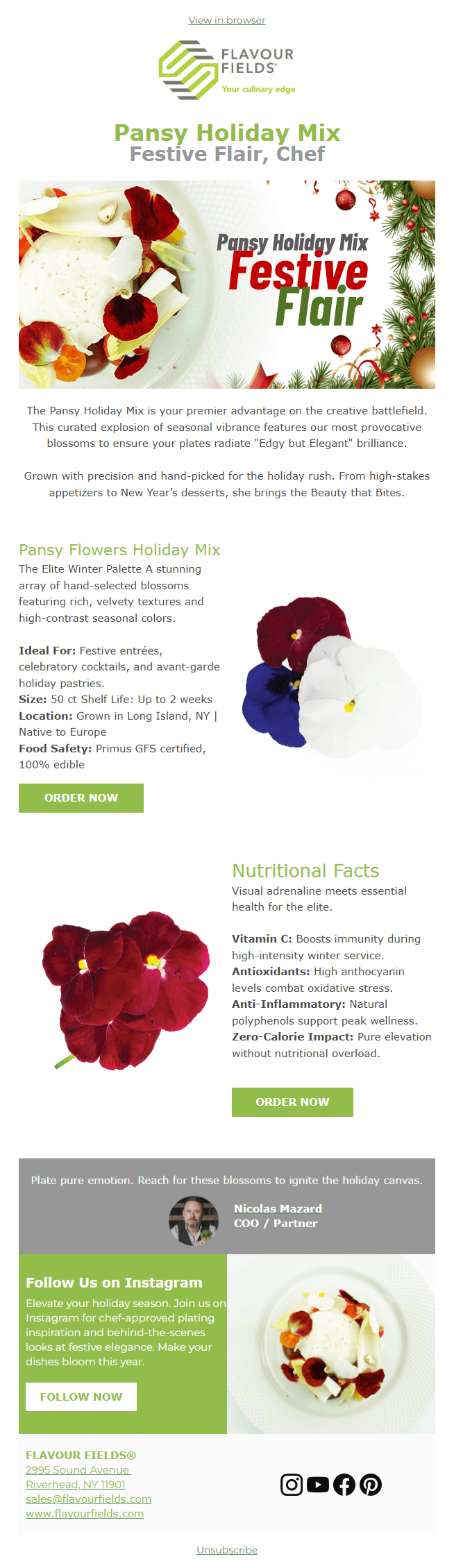 Pansy Holiday Mix Festive Flair, Chef