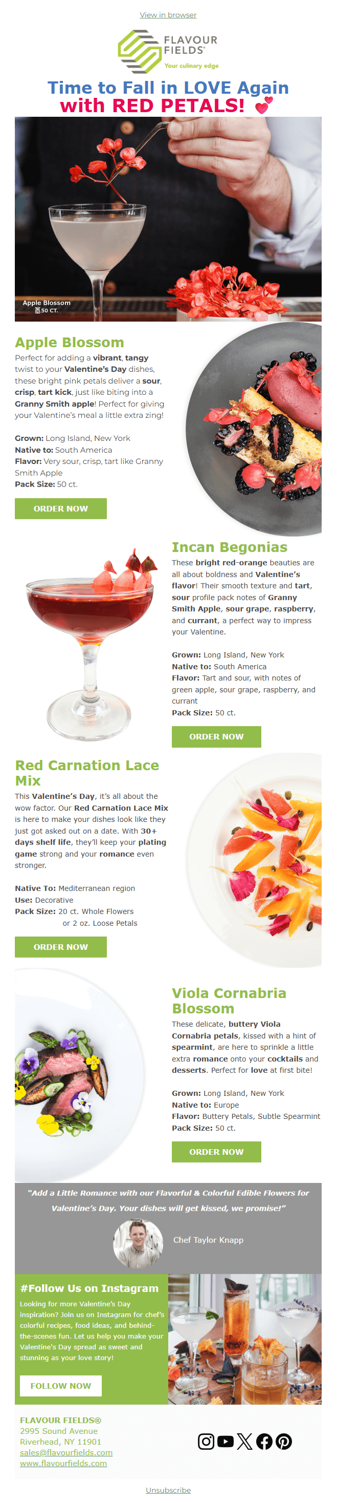 Time to Fall in LOVE Again with RED PETALS! 💕