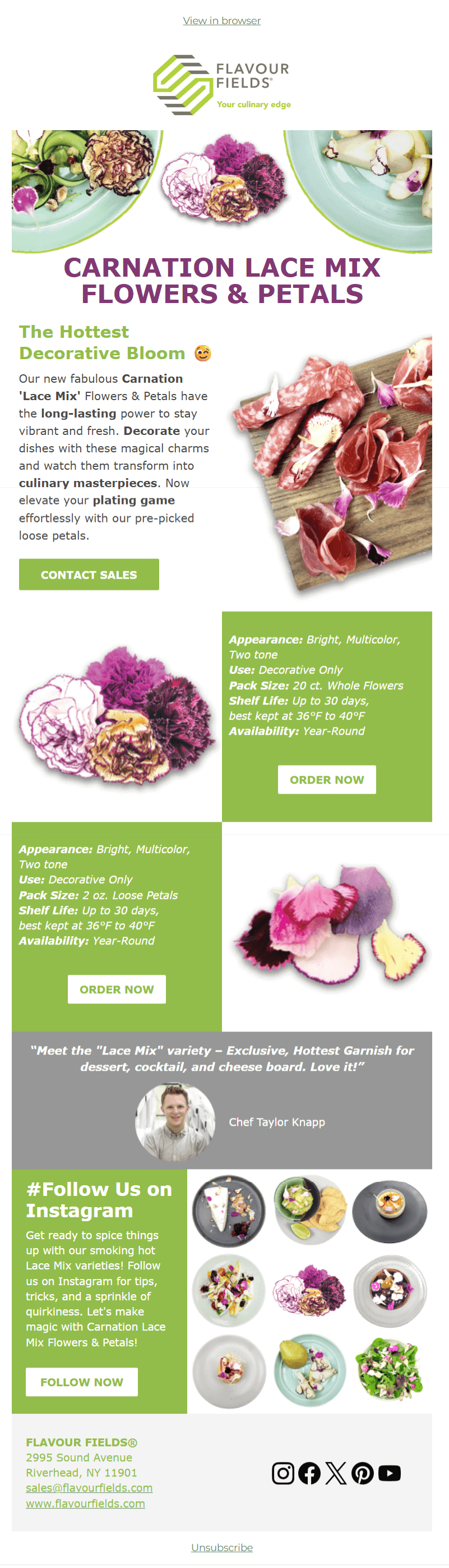 CARNATION LACE MIX FLOWERS & PETALS