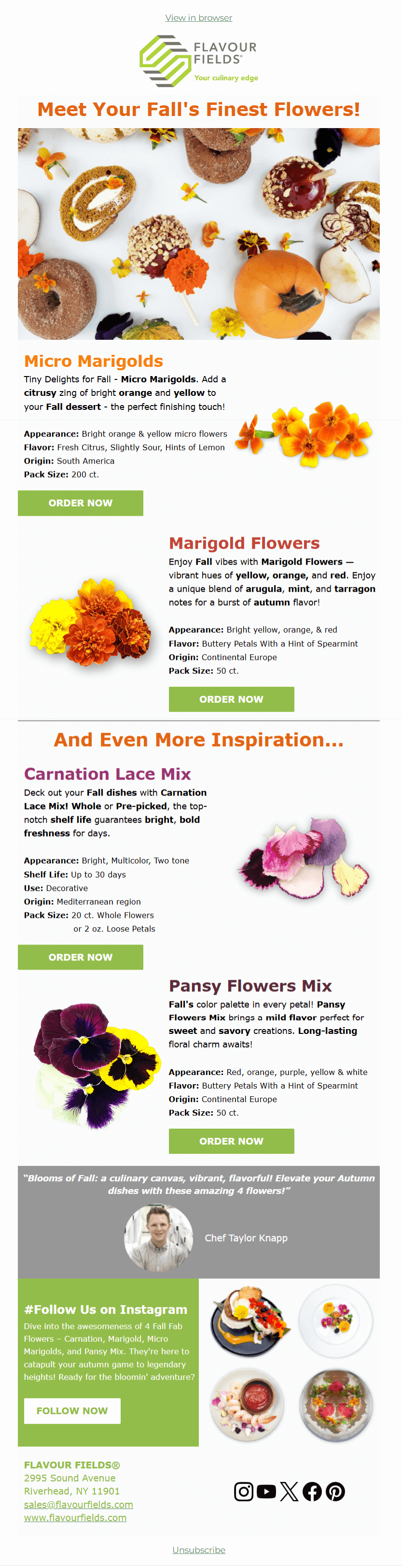 Meet Your Fall's Finest Flowers!