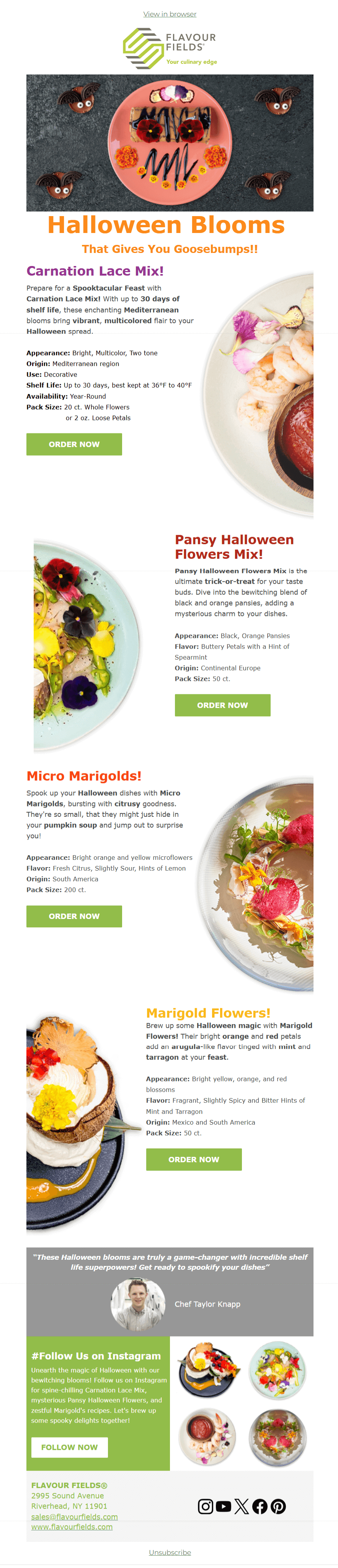 Halloween Blooms That Gives You Goosebumps!!