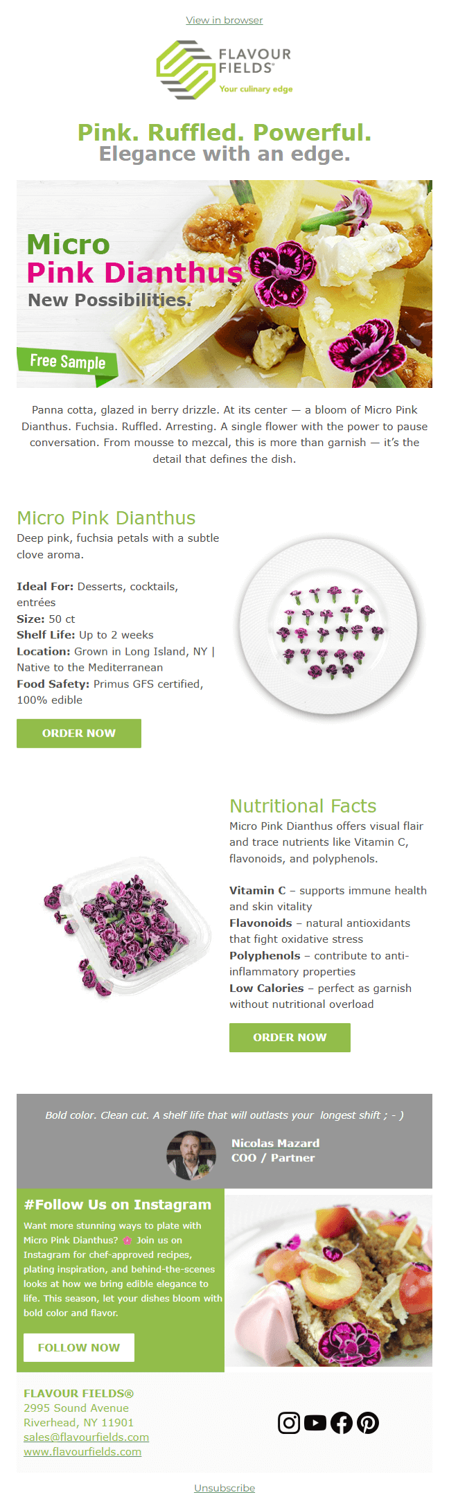 Pink. Ruffled. Powerful.Elegance with an edge.