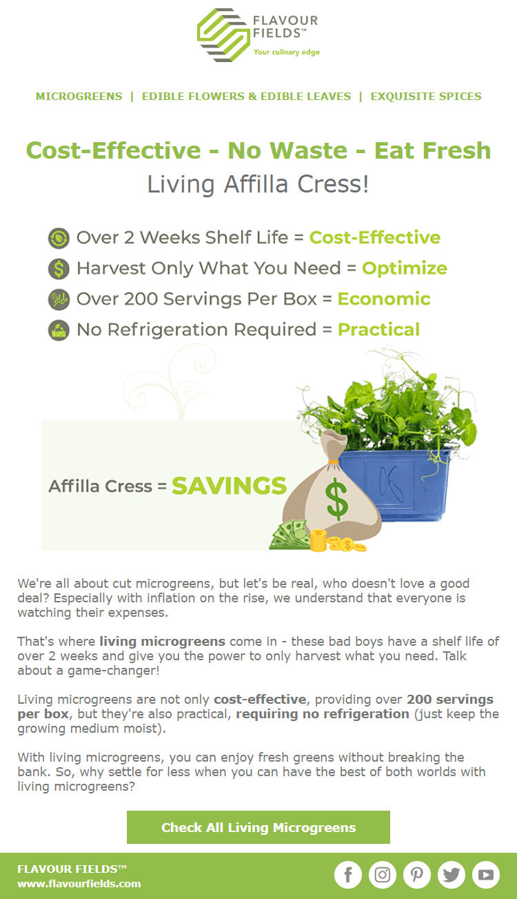 Affila Cress Newsletter