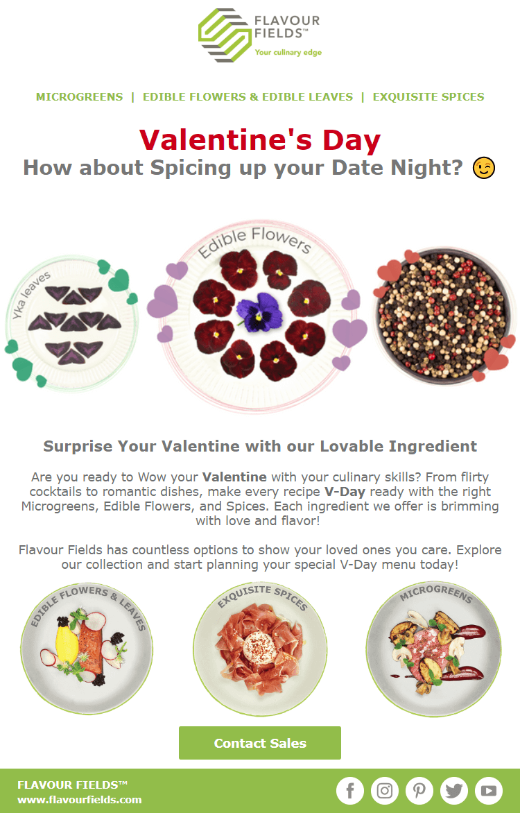 valentines day newsletter