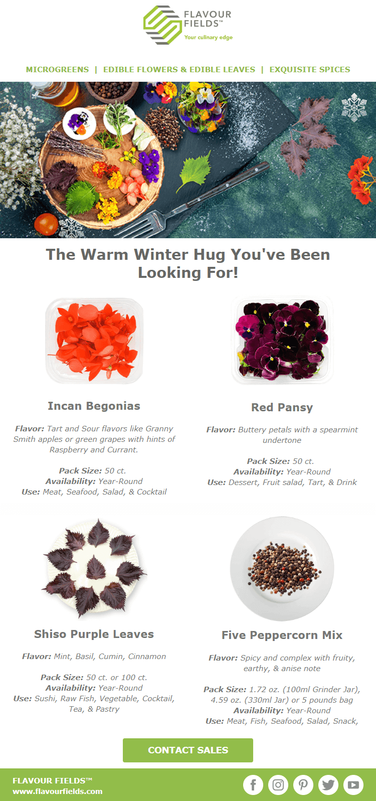 winter flavour newsletter