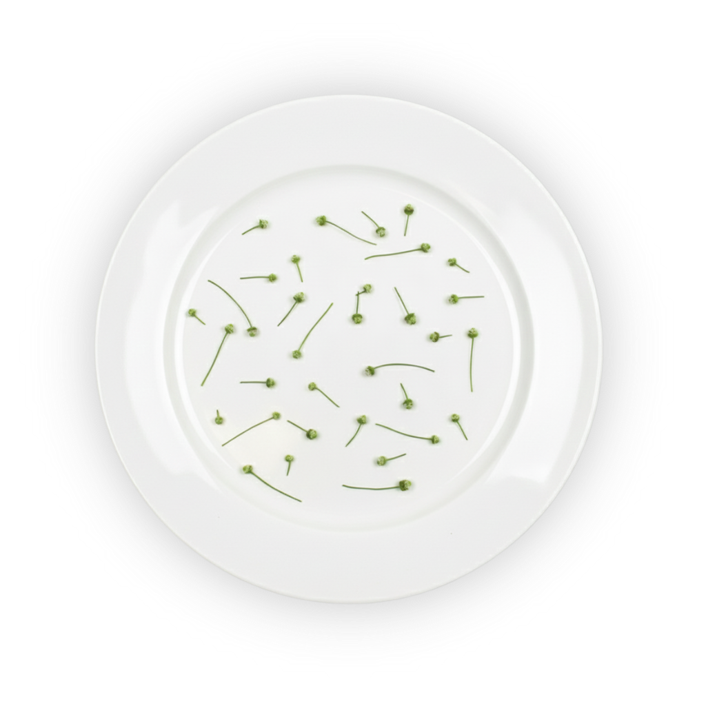 Dulce Buttons shadow