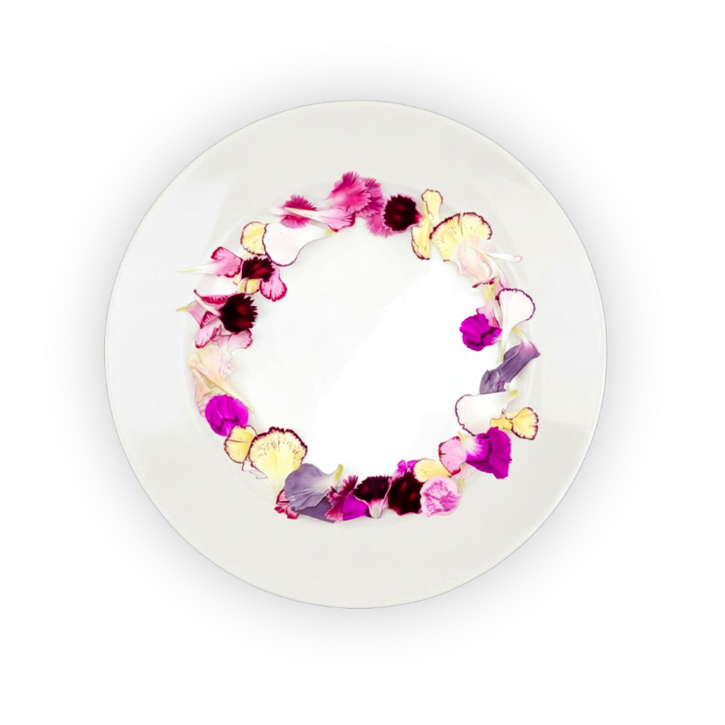 Carnation Petals Lace Mix shadow