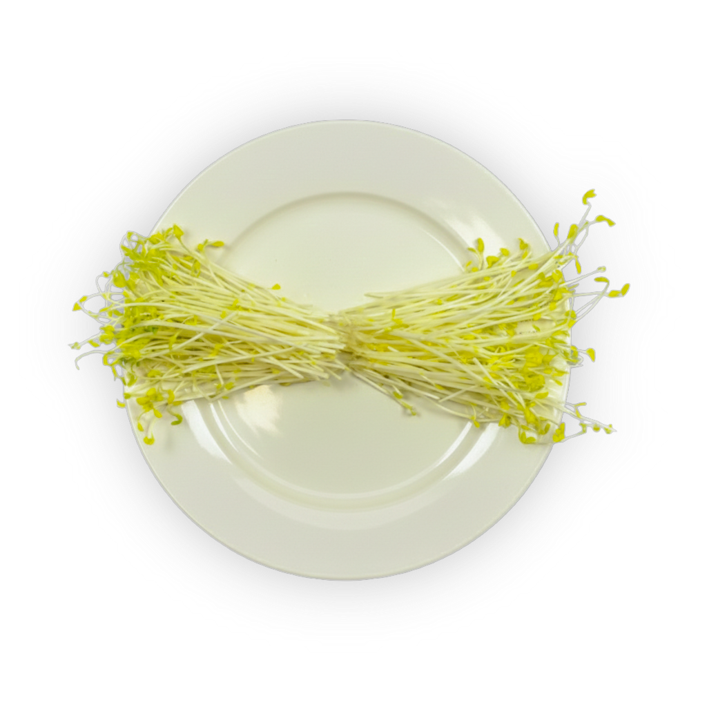 Golden Pea Shoots shadow