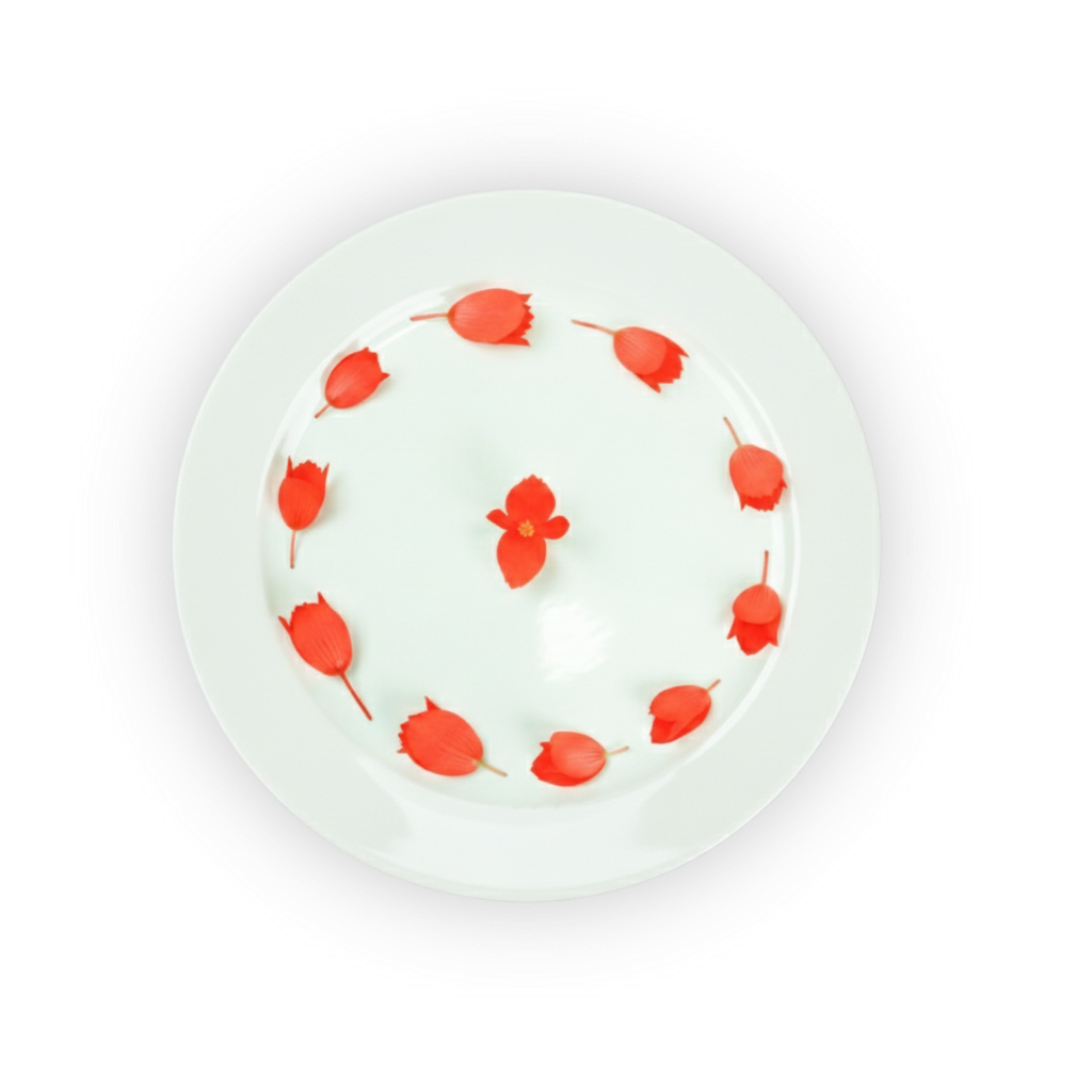 Incan Begonias shadow