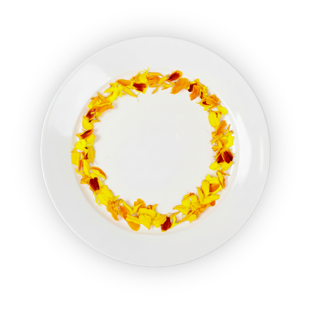 Marigold Petals shadow