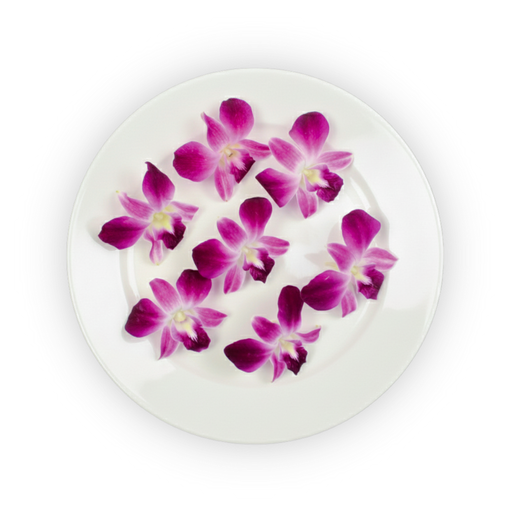 Orchids Purple shadow