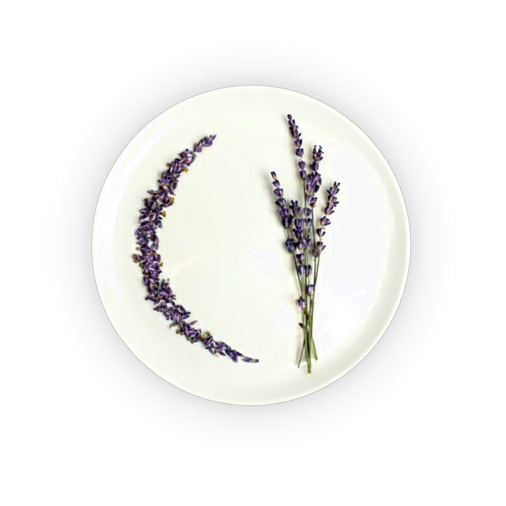 True French Lavender shadow