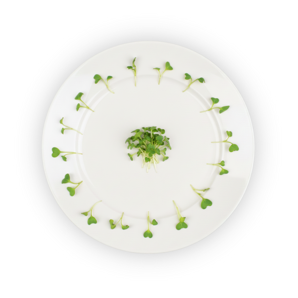 micro-broccoli-plating shadow