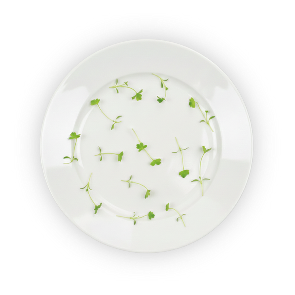 micro-celery-plating shadow