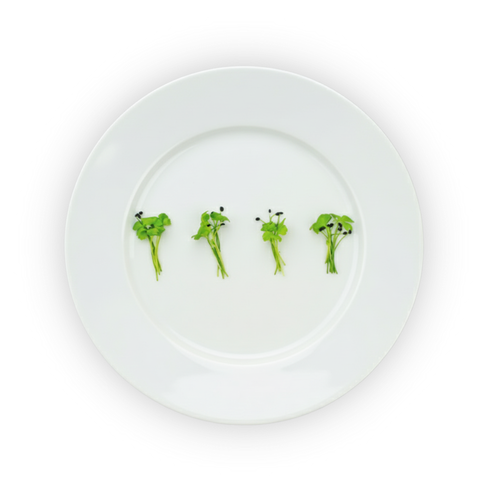 micro-mirepoix-mix-plating shadow