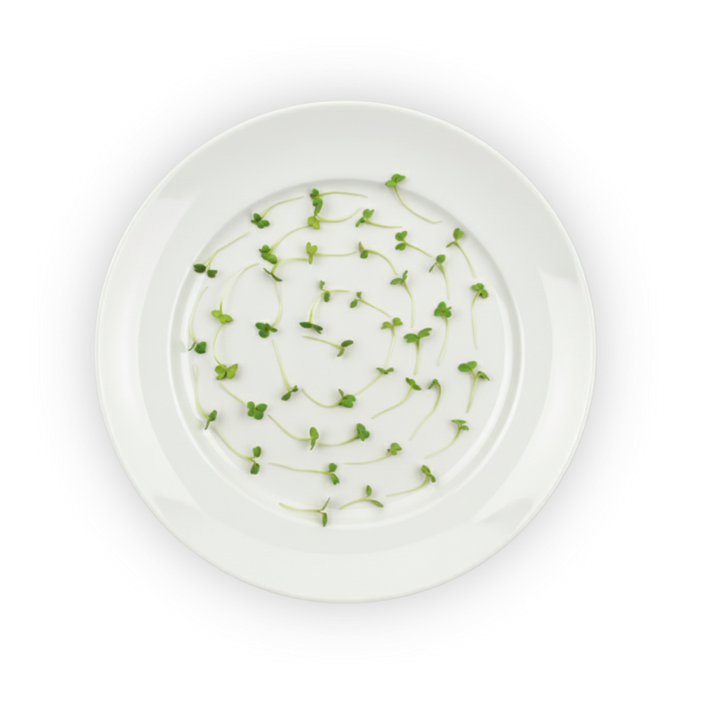 micro-mustard-green shadow