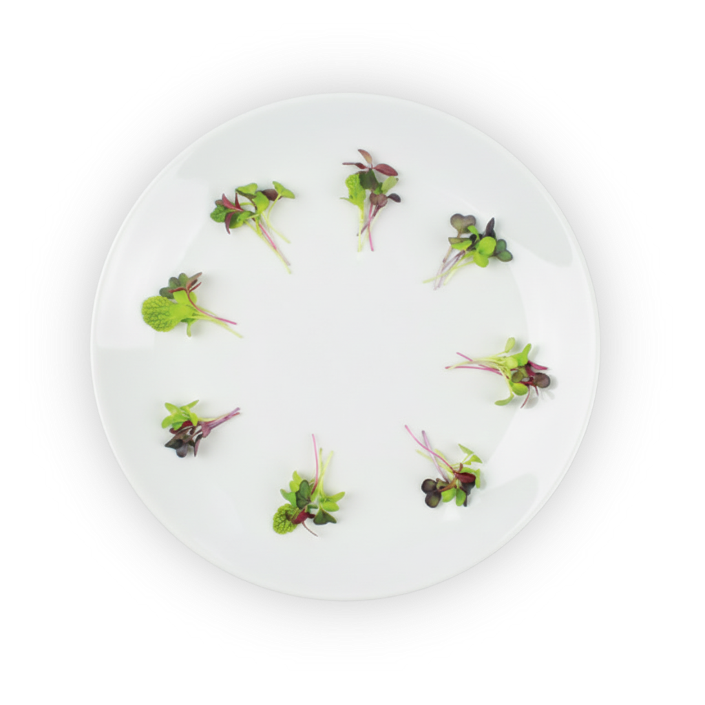 micro-rainbow-mix-plating shadow