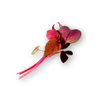 Micro Ruby Mix