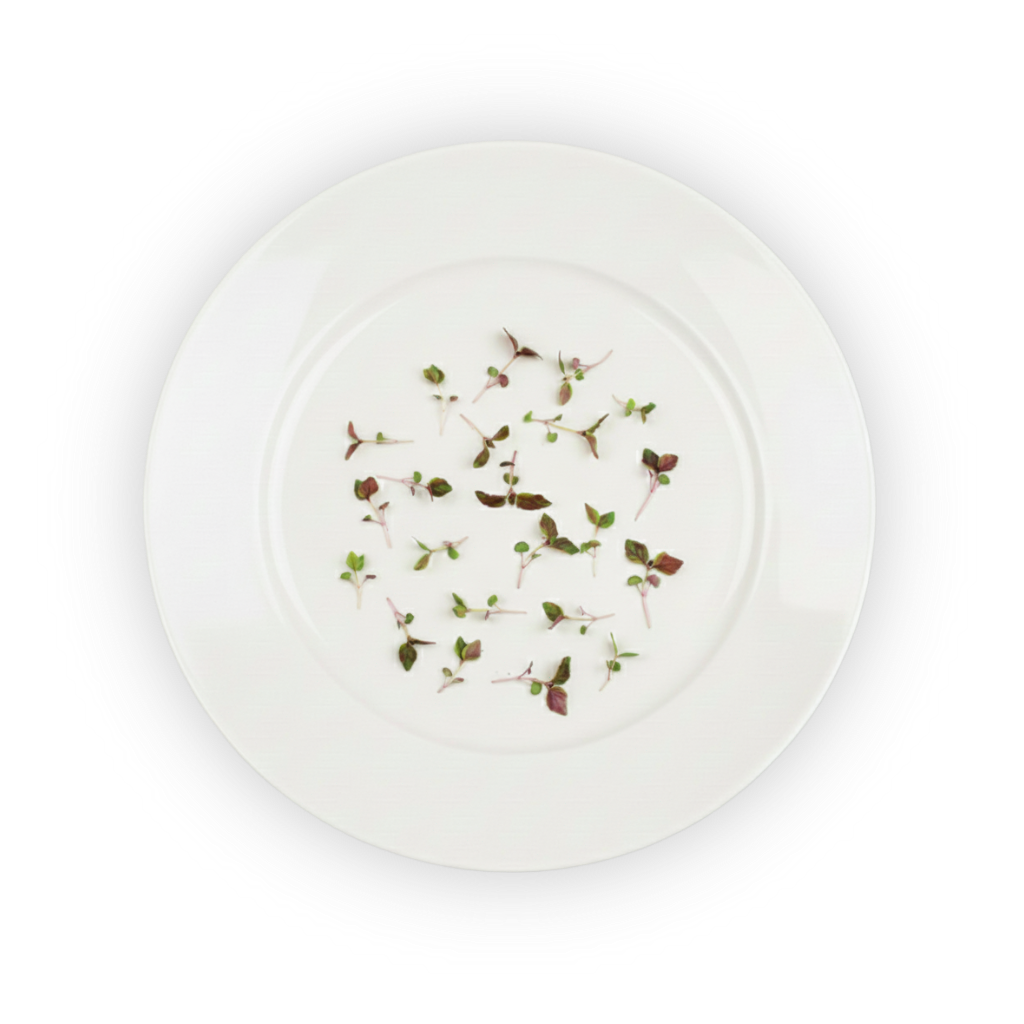 micro-shiso-purple-plating shadow