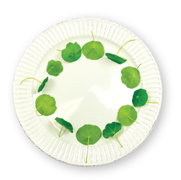 Nasturtium Leaves Plating