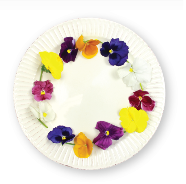 Pansy Flowers Mix Plating