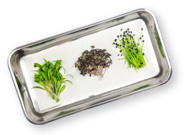 Cut microgreens