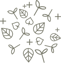 Cut Microgreen in Long Island, New York, USA
