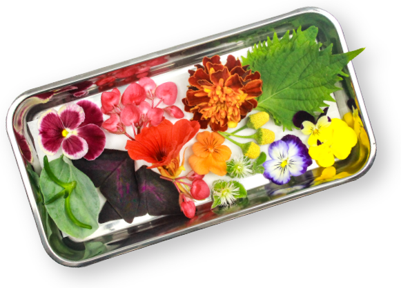 Edible flowers and edible leaves