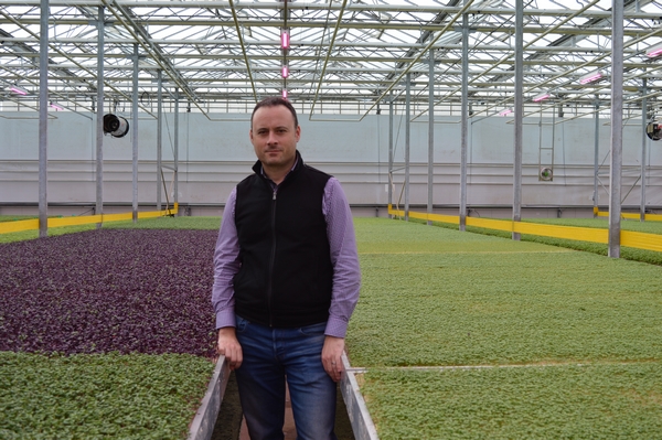 “I believe good things will come out of this” Nicolas Mazard with Koppert Cress USA dba Flavour Fields®