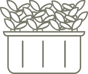 Living Microgreen in Long Island, NYC, New York, USA
