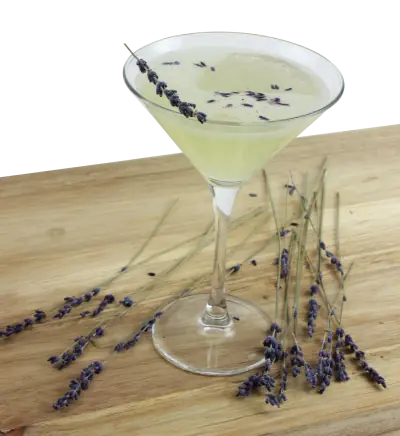 True French Lavender: The Newest Edition to the Flavour Field Family