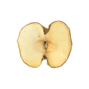 Dehydrated Apple Slice