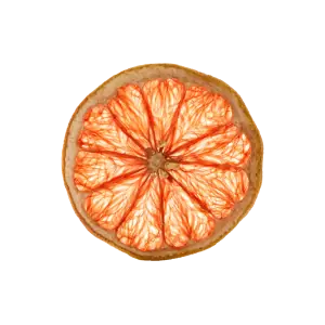 Dehydrated Grapefruit Slice