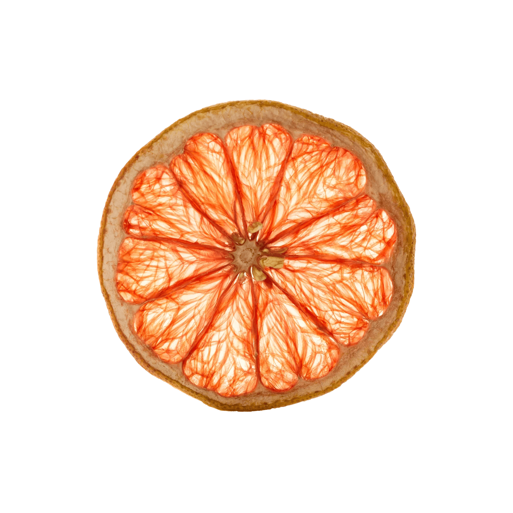 Dehydrated Grapefruit Slice