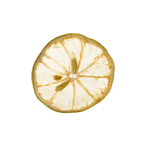 Dehydrated Lemon Slice