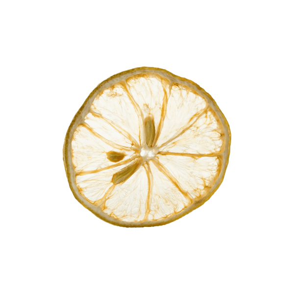 Dehydrated Lemon Slice