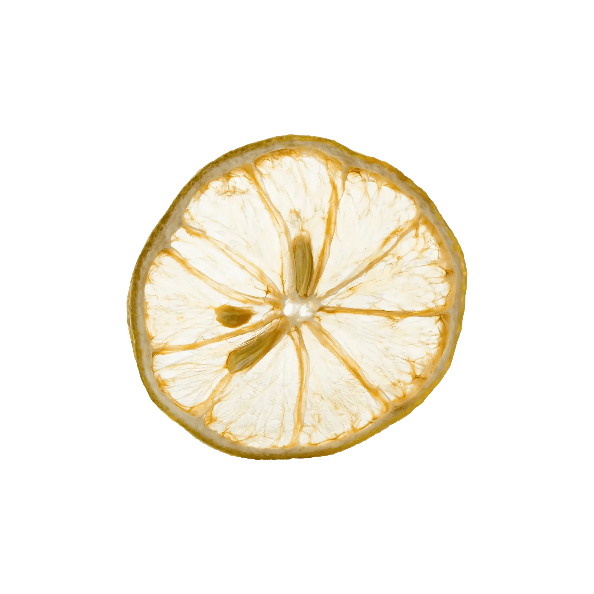 Dehydrated Lemon Slice