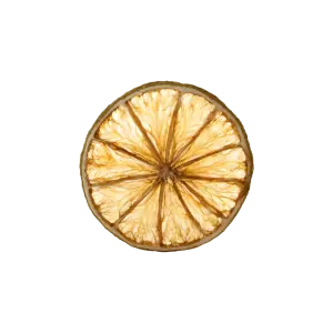 Dehydrated Lime Slice