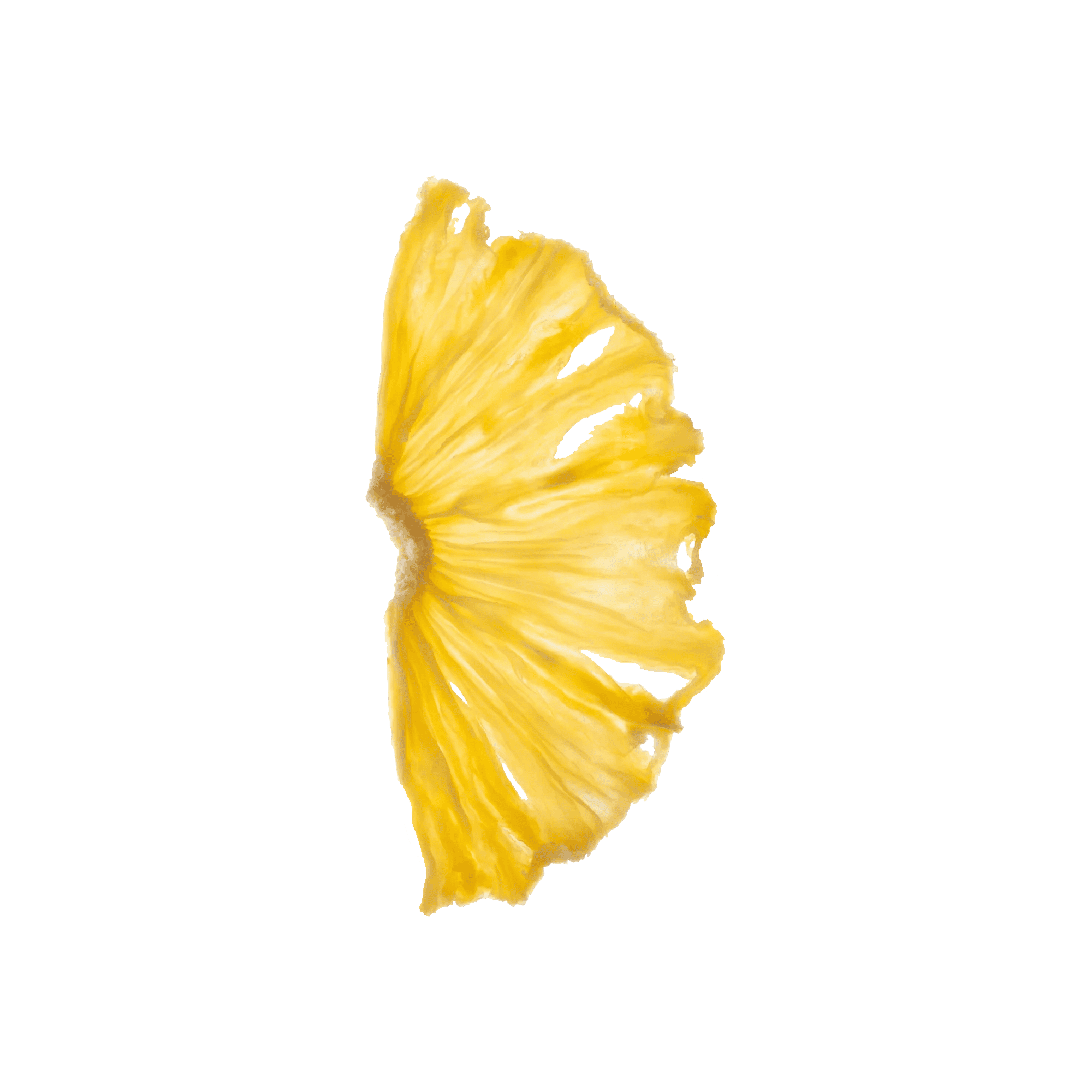 Dehydrated Pineapple Half Wheel Slice