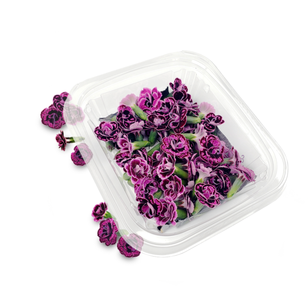 Micro Dianthus Pink edible flowers in clamshell, grown in Long Island, New York (NY) — vibrant petals for chefs in NYC and beyon