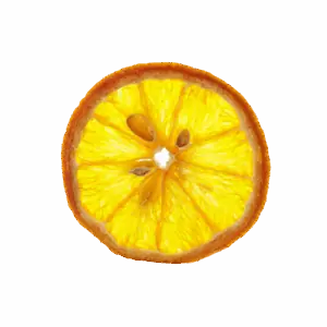 Dehydrated Orange Slice from Long Island, NY – Bright citrus garnish for cocktails and desserts