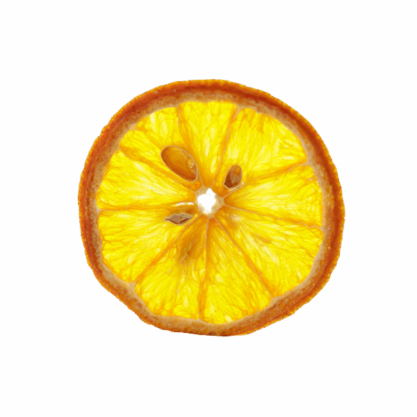 Dehydrated Orange Slice from Long Island, NY – Bright citrus garnish for cocktails and desserts