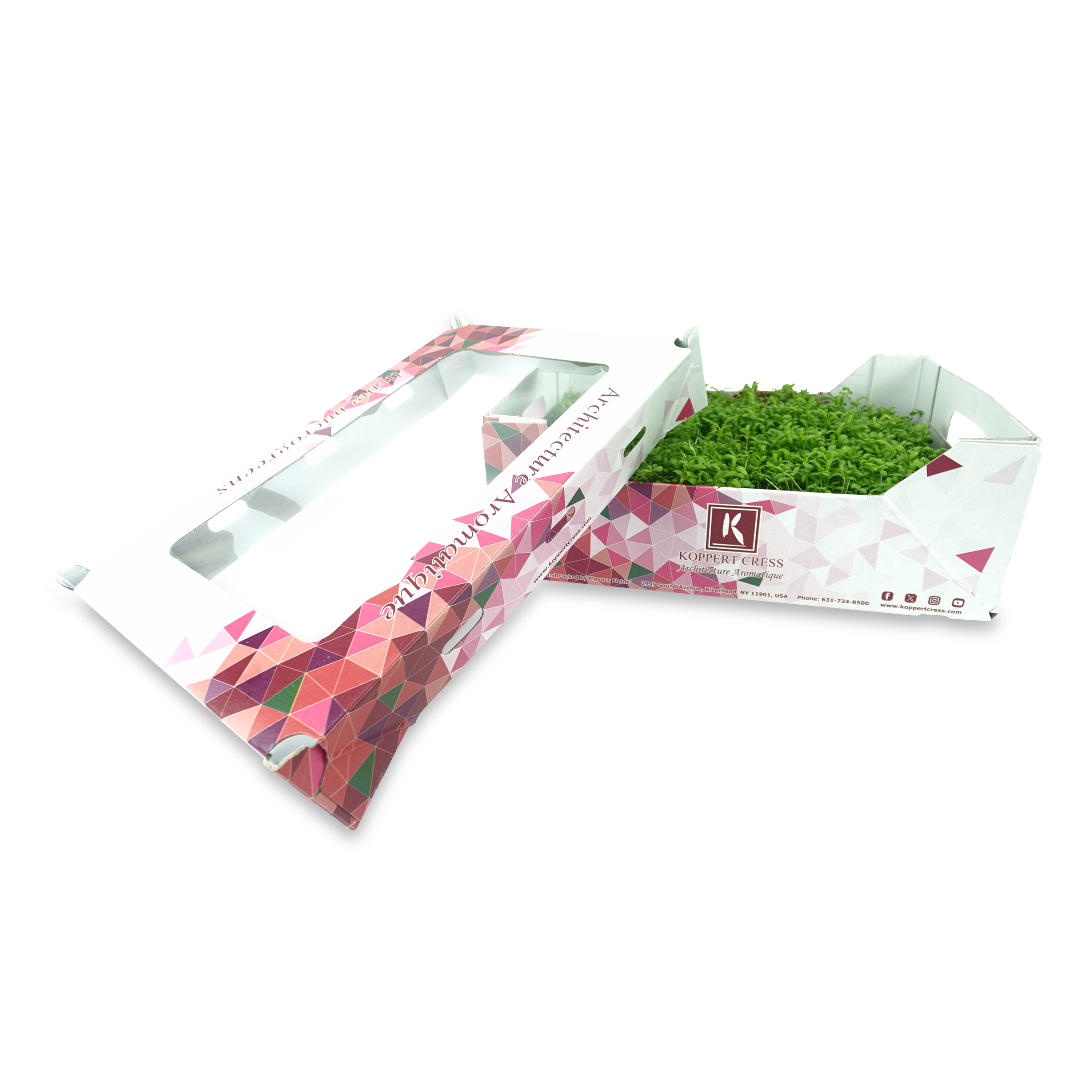 Shungiku cress box opened view